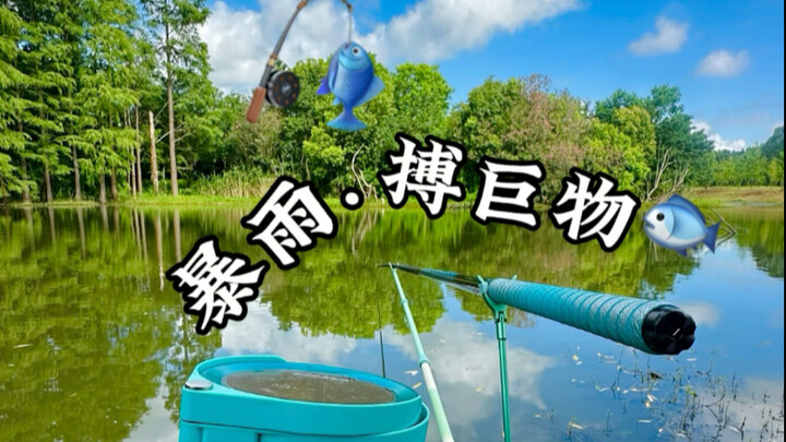 ฝนตกหนัก จับปลาใหญ่ ทำลายสถิติ! ทำลายสถิติ!