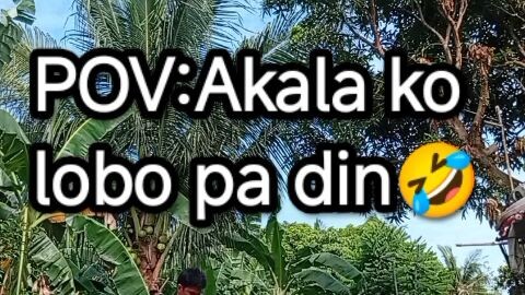 POV:Akala ko lobo pa din🤣