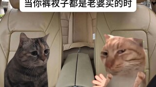 当你裤衩子都是老婆买的时