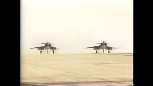 Sea Wings - The Falkland Surprise