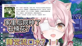 [永初塔菲] Taffy actually planted heather in the backyard; still drooling when sleeping?! Do you still d