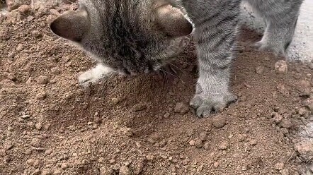 You love the countryside too!