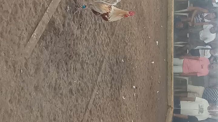 #nakatyamba po ang ating abuhin