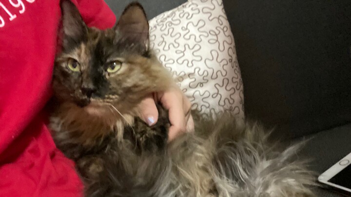 Trade two coins for four rings—care to give it a shot, customer?