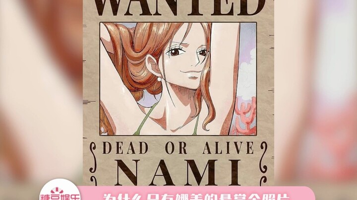 The Truth Behind Nami’s Perfect Bounty Poster