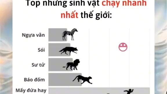 Kẻ chạy nhanh nhất !!!