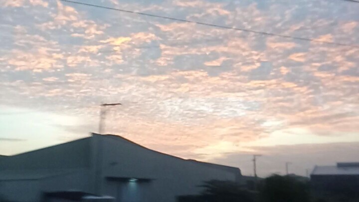 🌇