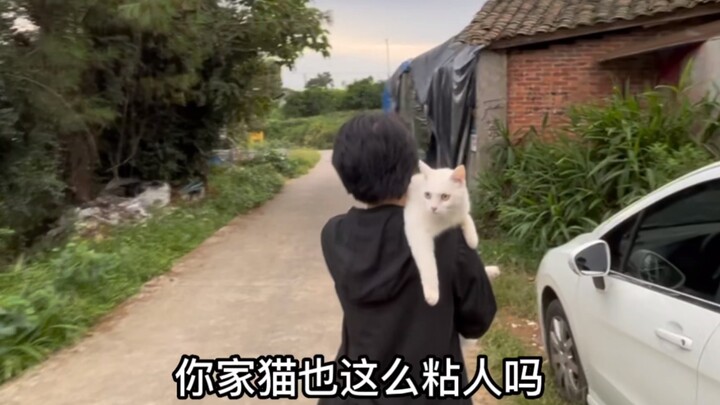 It follows me everywhere, even to get核酸检测…