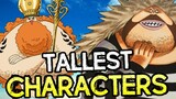 The Tallest Characters In The Series!! - One Piece Discussion | Tekking101
