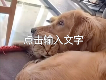 Cat: Damn Golden Retriever!