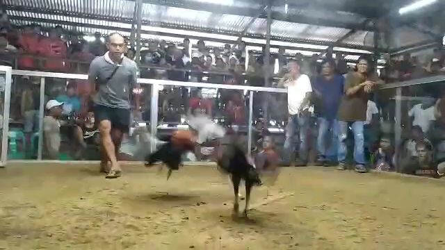 4x winner namin na alimbuyogin