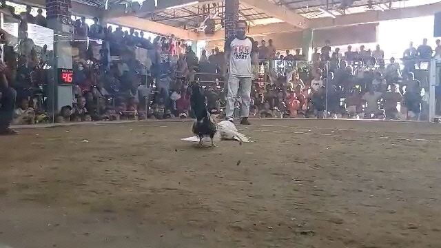 napaka sayang talaga itong grey Loss