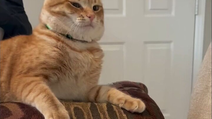 Don't attack—your throne will fall!