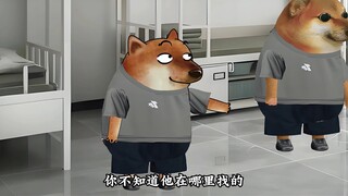 什么样的恋爱不能谈