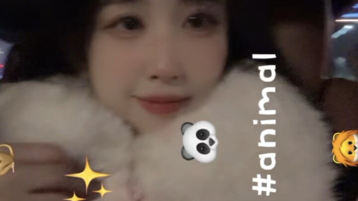 Malam hari dimulai! ~(¯▽¯~)~ Siaran langsung si gigi kelinci yang biasa-biasa aja kembali hari Sabtu