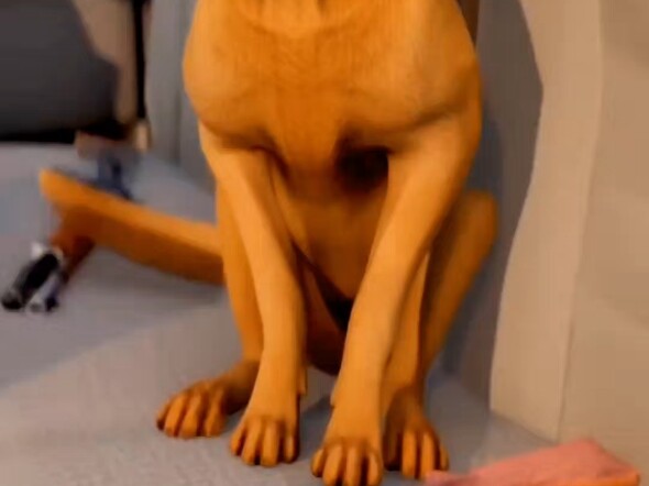 Dog accidentally pulls the trigger and shoots its owner
