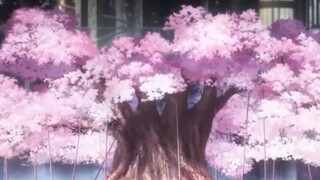 Hiro x Zero Two💐