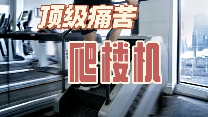 Stair Climber: The Least-Used Machine, the Gym’s Harshest Taskmaster