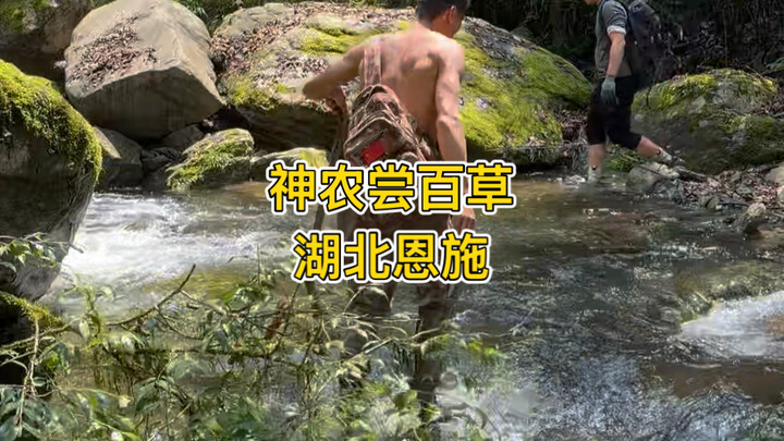 Hua Zhong Herbal Medicine Repository truly lives up to its reputation!
