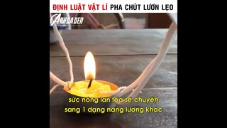 Định Luật Vật Lí Pha Chút Lươn Lẹo | cre: Bin TV