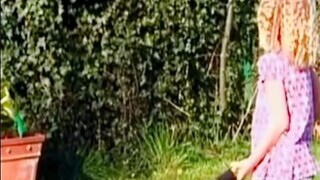 How to bury a Goldfish in the backyard
