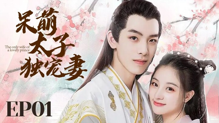 MUTLISUB【呆萌太子独宠妻 cute prince 】▶EP 01 💋豪门傻少爷强取江湖女骗子，一夜逆袭成少奶奶🤳呆萌少爷白天奶狗晚上狼狗让人欲罢不能💐#朱丽岚# 黄天崎# 【尘缘】❤️追剧迷