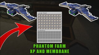 EASY PHANTOM FARM TUTORIAL in MINECRAFT 1.18