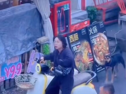 Trước sự khiêu khích liên tục của chú chó đen, cô chủ của chú chó trắng đã quyết định phản công