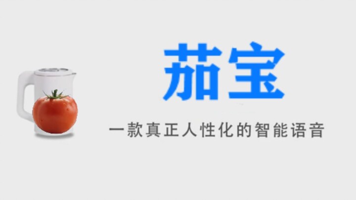 The first artificial intelligence in China with built-in Laofanqie voice package