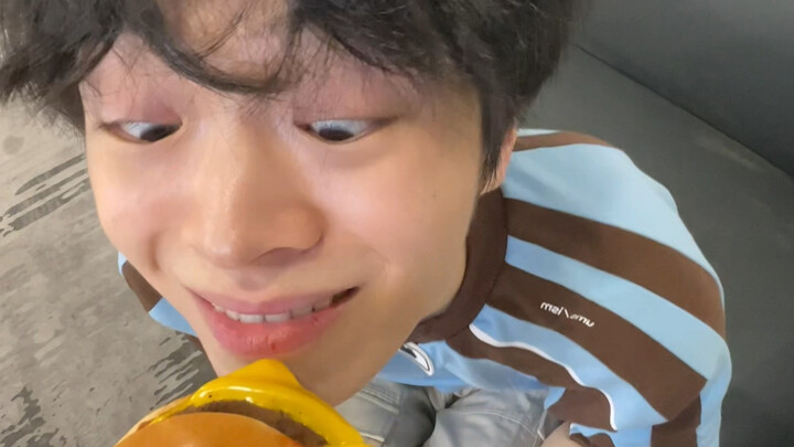 Hãy cho mèo con ăn bánh hamburger