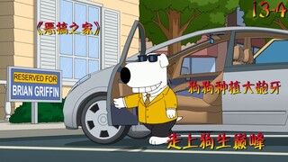 狗狗种了一口大龅牙，竟因此走上狗生巅峰！《恶搞之家》