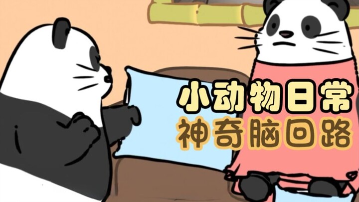 Magical Brain Circuits 🐼🤰🎋【Daily Life of Small Animals | Natural Habitat Shorts】Chinese and English 