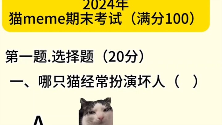 Meme mèo kỳ thi cuối kỳ