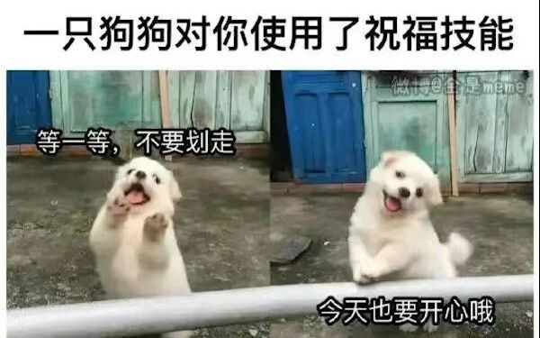 มีมภาพตลก⑧ “คุณได้รับเอฟเฟกต์: คำอวยพรจากเจ้าตูบ! รีบพูดขอบคุณเจ้าตูบสิ!” รวมมุกตลกจากแดนสวรรค์และภา