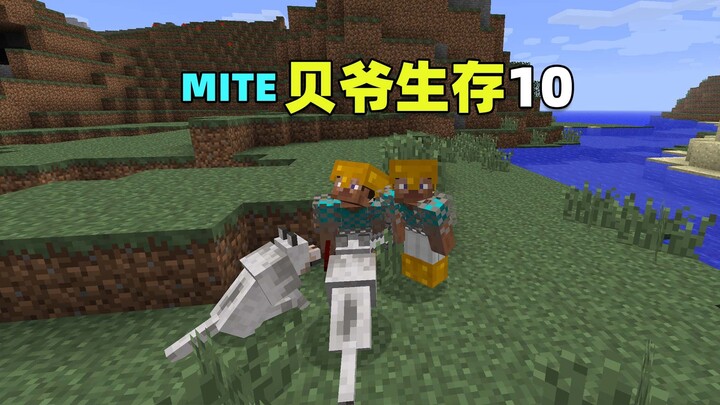 MITE Bear Grylls Survival 10: Now that life is comfortable, I’m adopting a puppy! Minecraft Minecraf