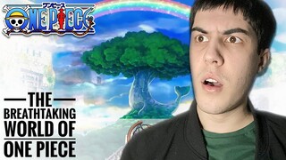 The Breathtaking World of One Piece | Reaction