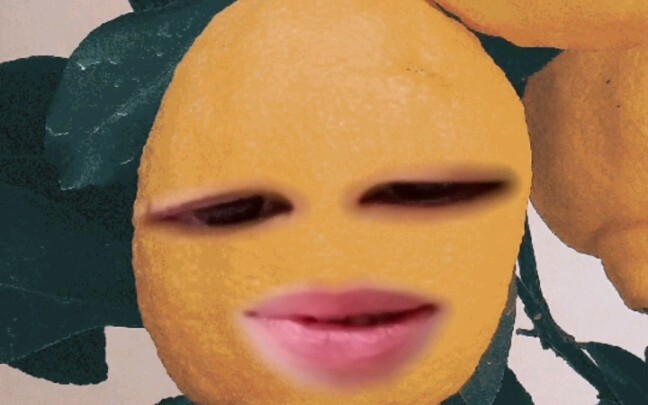 نكتة معركة الأشبال في لعبة يين يانغ شي.