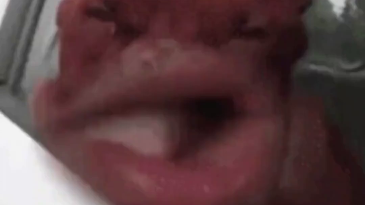 When you realize the items are expensive at checkout, do you bite the bullet and buy them anyway? Ne