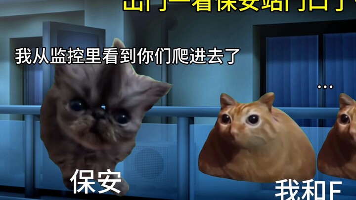 【猫meme】高中为了点外卖爬进办公室差点被保安当小偷抓起来