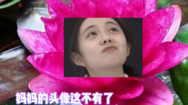 Ternyata foto profil WeChat ibu dibuat seperti ini!!! [Teratai]