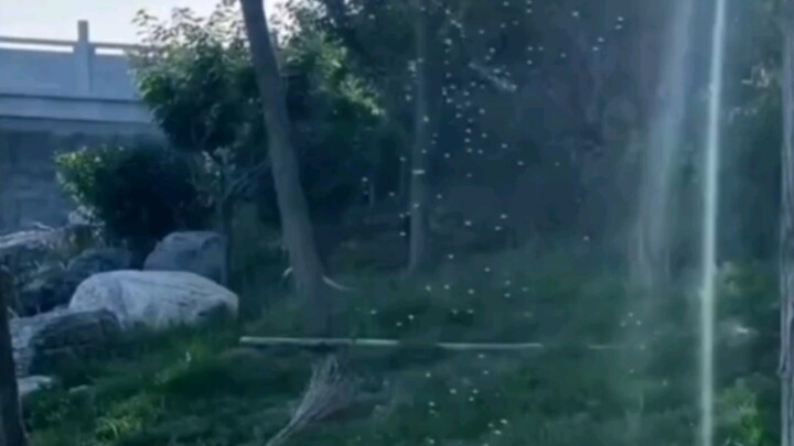 Ngerjain orang kayak gitu kan gak sopan banget! #nyamuklalat #menggemparkan