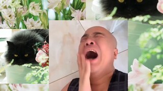 test222