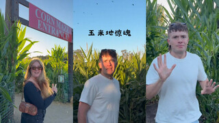 不要温柔地走进那片玉米地…🌽