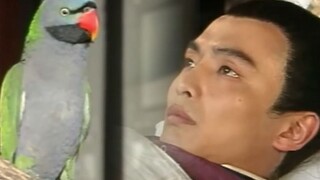 [Old movie story] Stories from a Chinese Studio, even if you turn into a parrot, you still have to b