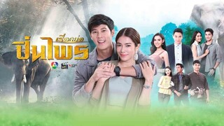 ปิ่นไพร ตอนที่ 8