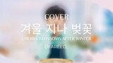 Dfareed_ covers 겨울 지나 벚꽃 (Cherryblossom After Winter OST) by Ok Jin Uk [Easy Lyrics]