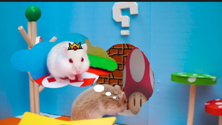 หนูแฮมสเตอร์เล่นเกมมาริโอ้ Mario ep 1