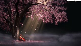 Những Bản Nhạc Không Lời Hay Nhất Trên Tik Tok 9