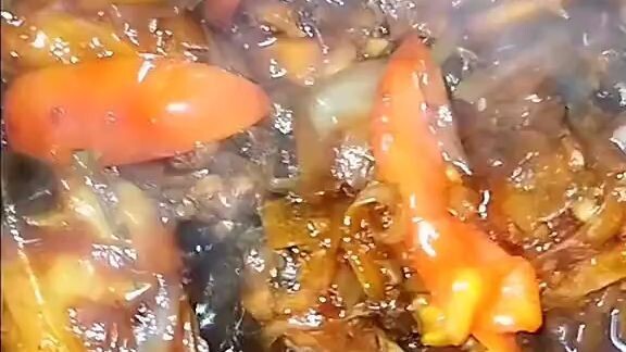 Ayam kecap by Hayu Dahar