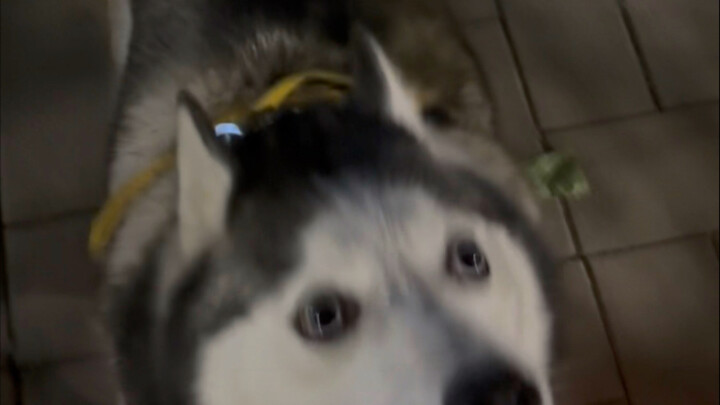 Spent two yuan on a baked pancake, and the kid was so happy about it!